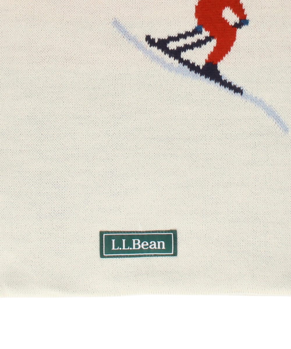 WHITE SKI